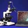 USB computer connected camera included. Computer/Laptop not included. Shape of microscope camera may vary from what is shown. 